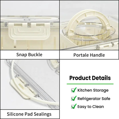 Compartment Snack Box With Lid & Handle