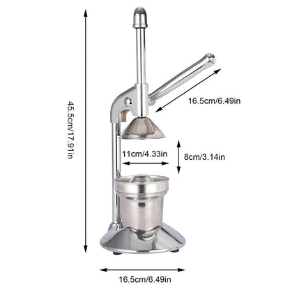 Stainless Steel Citrus Juicer
